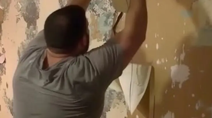 Après notre divorce, mon ex-mari a arraché le papier peint des murs de notre maison, car c’était lui qui l’avait payé, mais quelques mois plus tard, il l’a regretté.