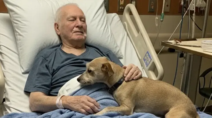 Ils ont permis à son chien de lui dire au revoir — quelques heures plus tard, l’infirmière a ouvert la porte… et a laissé tomber tous les documents.