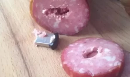 chien,enfant handicapé