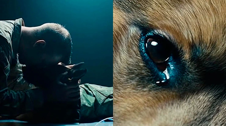 Il prononça &lsquo;Je ne t&rsquo;oublierai pas&rsquo;… Ce qui arriva le lendemain laissa les médecins sans voix.