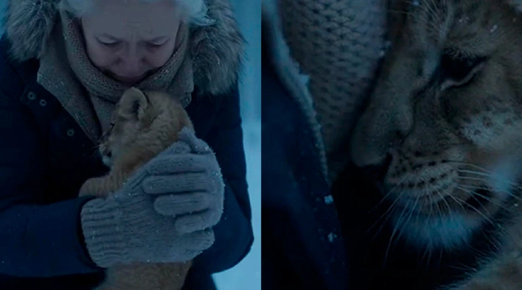 Elle a trouvé un lionceau dans la neige… que s’est-il passé ensuite ?