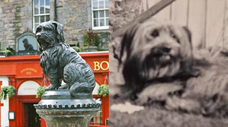 Greyfriars Bobby : une histoire de fidélité éternelle
