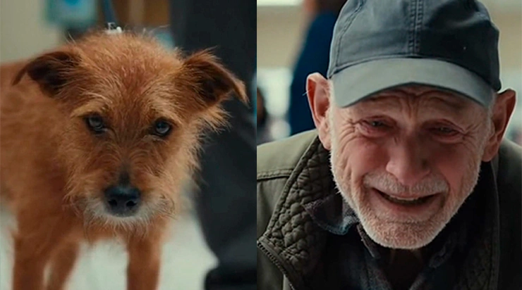 Il avait disparu depuis deux ans… et quand je l’ai enfin retrouvé dans la rue, il m’a regardé comme un étranger : allais-je le perdre une seconde fois ?