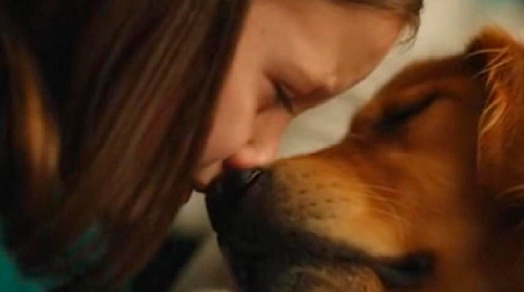 Que se passe-t-il quand une fille chuchote à l&rsquo;oreille de son chien mourant ?