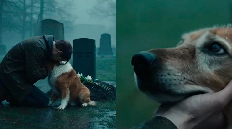 Le Chien du Cimetière et l&rsquo;Homme Qui Partagea Son Deuil