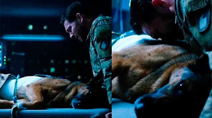 Les médecins disaient qu’il ne survivrait pas… mais lorsque le soldat s’est penché vers son chien et lui a murmuré quelques mots, quelque chose d’inattendu s’est produit