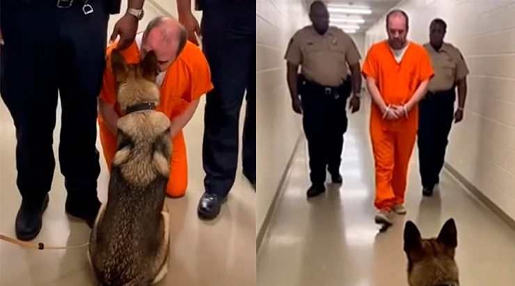 Il a attendu 9 ans. Parlant à la lune chaque nuit