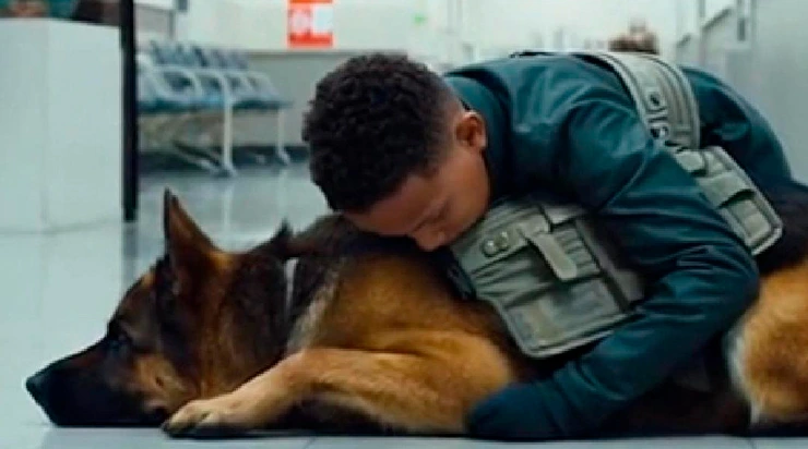 Le Chien qui a Sauvé un Garçon de 10 Ans Perdu : Le Miracle n’était que le Commencement de leur Véritable Histoire