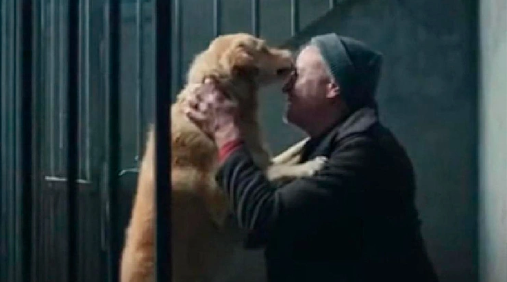 Il croyait son unique ami disparu à jamais… mais ce que le chien avait fait pendant toutes ces années allait bouleverser sa vie.