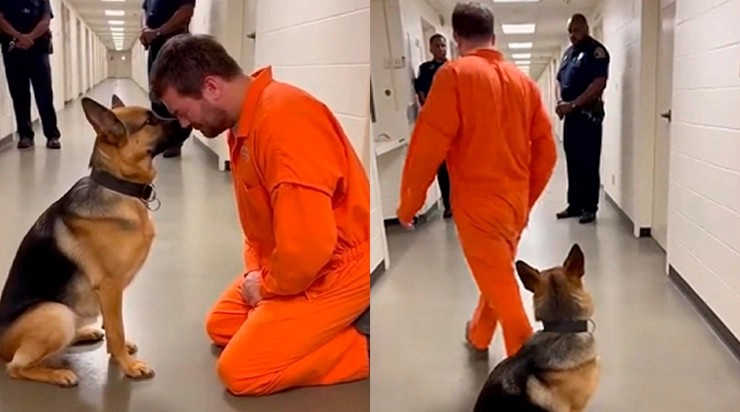 Que s’est-il passé après cet adieu silencieux dans le couloir de la prison ?