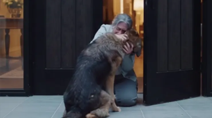 Le chien du soldat disparu réapparaît devant la porte de la maison après deux ans