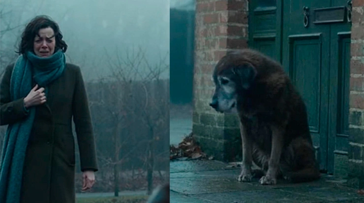 Pourquoi ce chien âgé est-il revenu devant cette porte après tant d’années… et que s’est-il passé lorsqu’elle s’est enfin ouverte ?