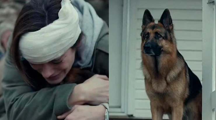 Ils m’avaient perdue depuis deux mois… mais mon chien n’a jamais cessé de me chercher