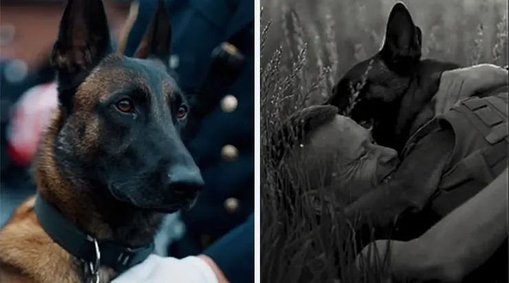 Tout le monde croyait qu’il avait perdu son compagnon pour toujours… mais personne n’imaginait ce que le chien ferait dans le silence de la nuit