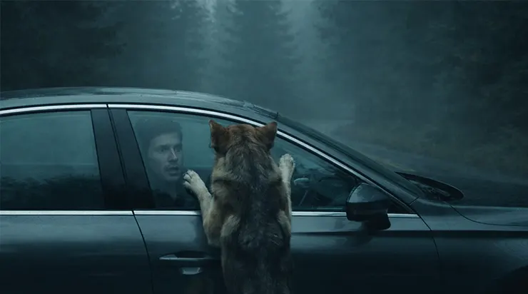 Le chien surgit sur la route. Le conducteur freine à temps… mais cet instant leur réservait un destin inattendu