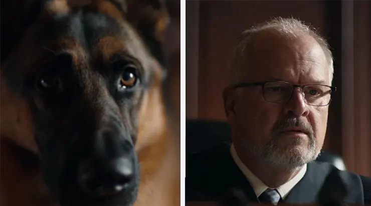 Le silence du tribunal fut brisé par un moment inattendu… et ce qui fut révélé ensuite dépassa toute imagination