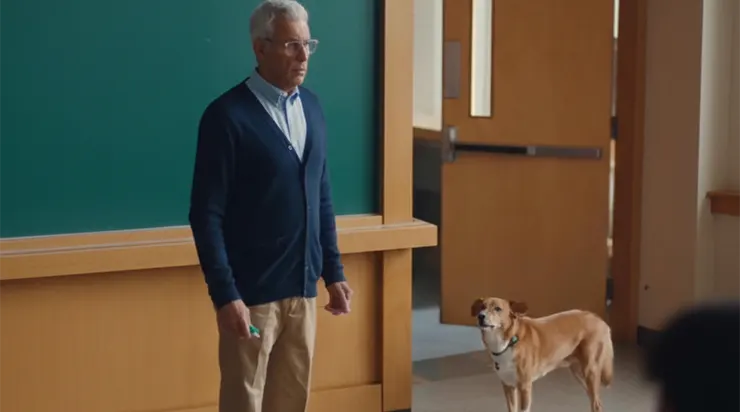 Dans le calme d’une université, un chien osa déranger tout le monde pour accomplir l’acte le plus humain qui soit