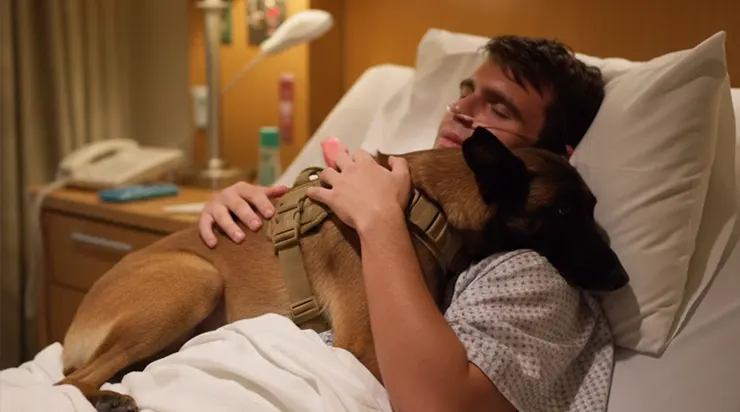 Le chien avait apporté quelque chose… quelque chose qui a sauvé la vie du soldat