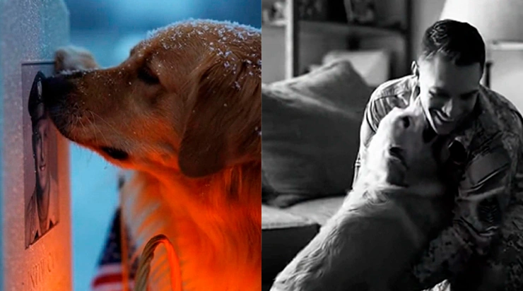 Il est revenu chaque année avec un gâteau devant cette tombe enneigée… mais personne ne savait encore ce que cette fidélité allait provoquer