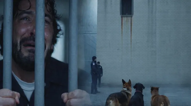 Lorsque les pleurs de trois chiens, aboyant dans la cour de la prison, forcèrent l’ouverture des barreaux fermés, personne n’aurait pu imaginer à quoi ils allaient assister