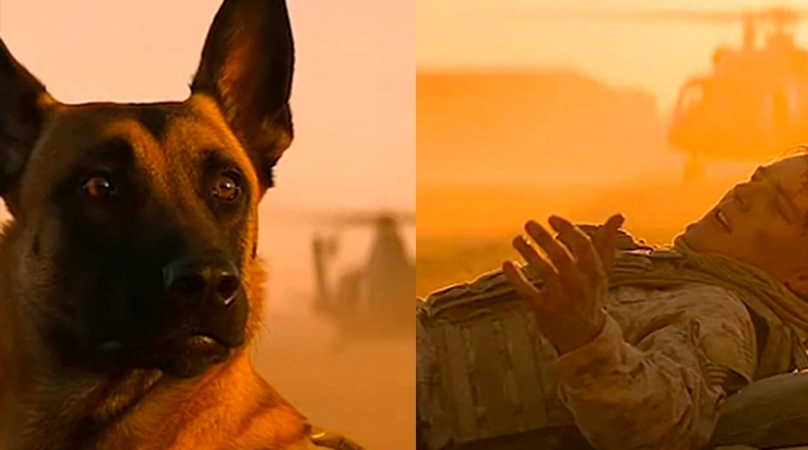 Il pensait l&rsquo;avoir perdu pour toujours… mais que s’est-il réellement passé après ce dernier regard, deux ans plus tard ?