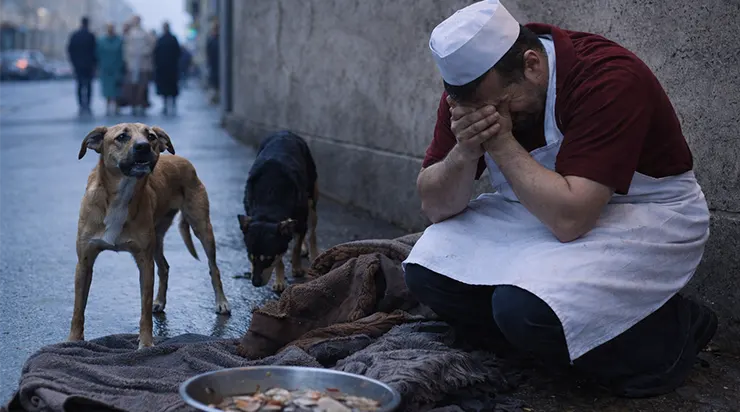 Tout le monde s’est mis à pleurer lorsque l’on a finalement compris pourquoi deux chiens tournaient avec tant d’inquiétude près du coin de la rue