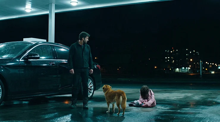 Quand le chien a plongé son regard dans le mien, je ne savais pas encore que cette nuit-là allait changer ma vie