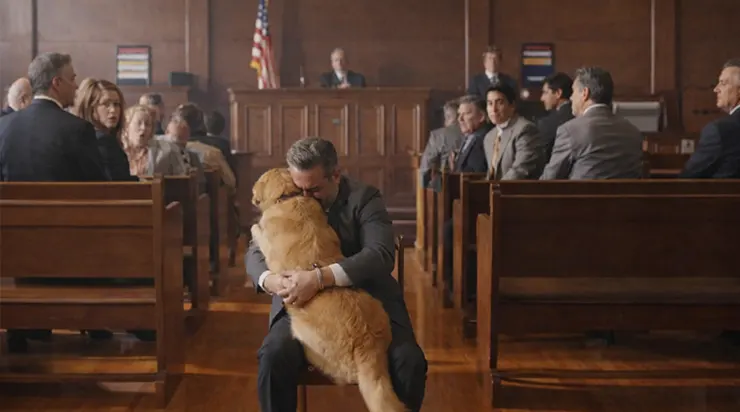 L’accusé a demandé que l’on fasse venir au tribunal le chien qu’il avait vu pour la dernière fois sur les lieux du drame… et personne dans la salle n’imaginait ce qui allait être révélé