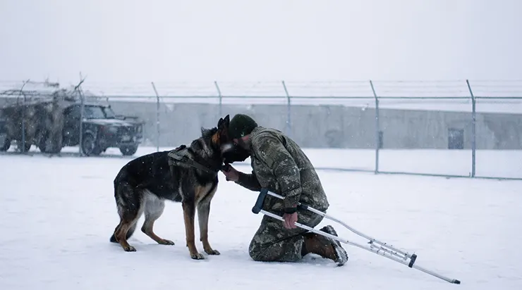 Je ne voulais pas que mon chien me voie dans cet état… mais quand mes amis m’ont raconté ce qu’il avait fait pendant mon absence, je n’ai plus réussi à dormir pendant des jours