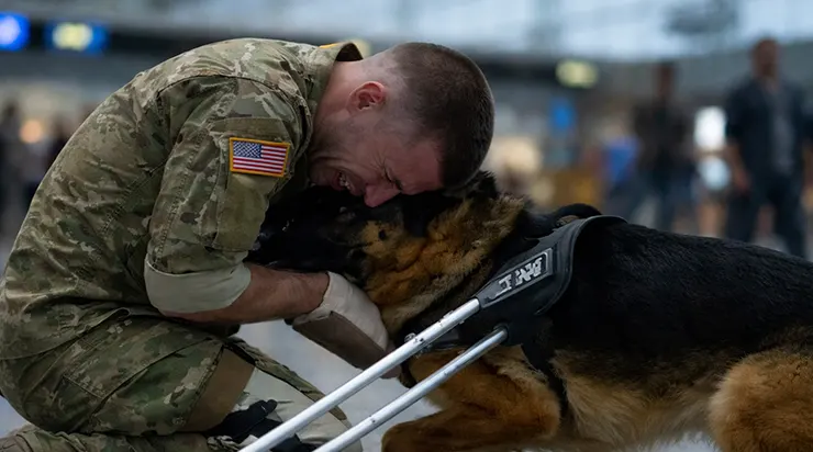Sur le chemin du retour, j’ai vu le chien qui m’avait sauvé la vie… les paroles de l’officier m’ont ramené à l’hôpital