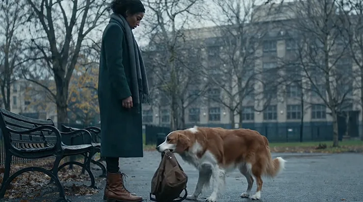 Il était simplement sorti se promener, lorsqu’un chien commença à insister avec acharnement pour qu’il prenne le sac posé devant lui