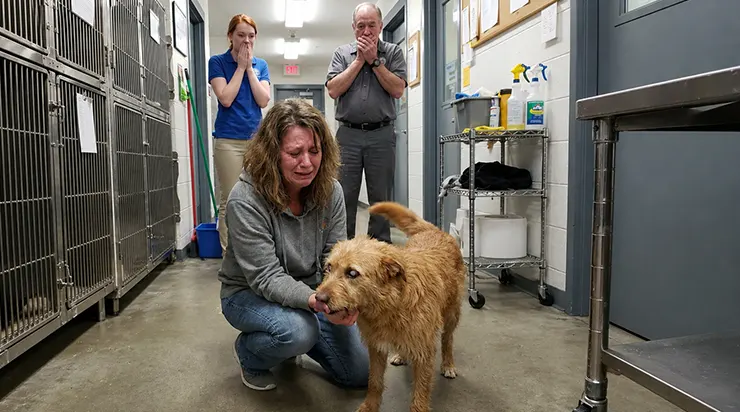 Pendant des années, le chien aveugle évitait tout le monde, mais quand je suis entré dans le refuge, il a commencé à lécher mes mains