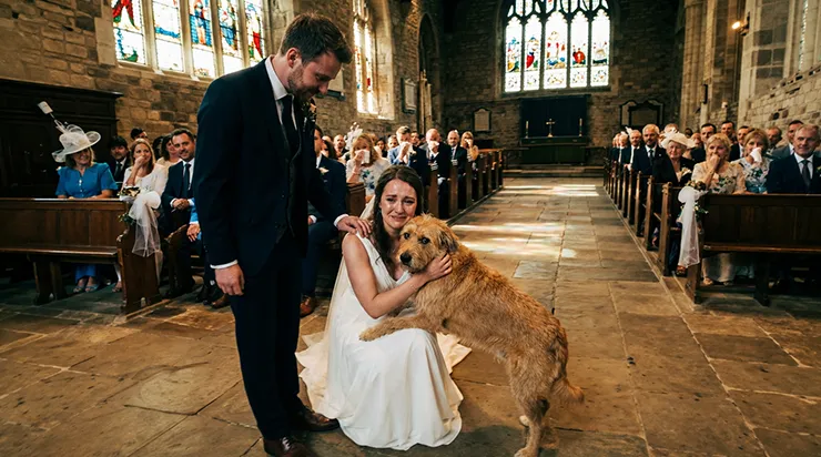 Au moment le plus important du mariage, un chien s’est approché de la mariée et a commencé à tourner obstinément autour d’elle