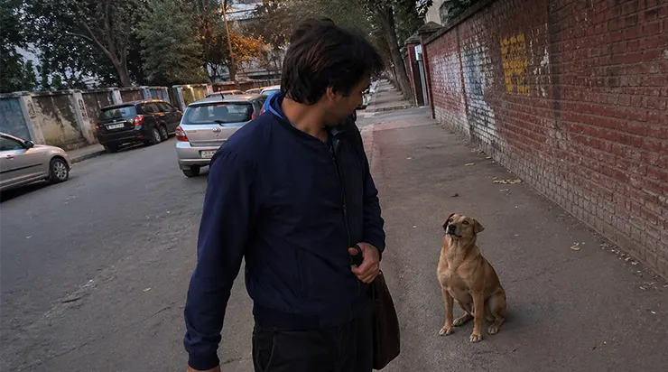 Pendant six jours consécutifs, un chien errant m&rsquo;a suivi, et malgré tous mes efforts pour l&rsquo;éloigner, il refusait de partir