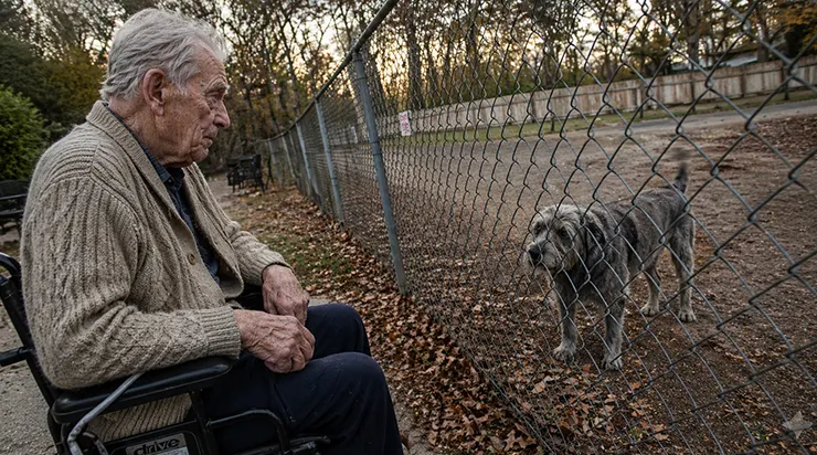 Un homme de 87 ans en fauteuil roulant se postait devant la clôture de la maison de retraite depuis un an, sans jamais dire un mot, et personne ne savait pourquoi