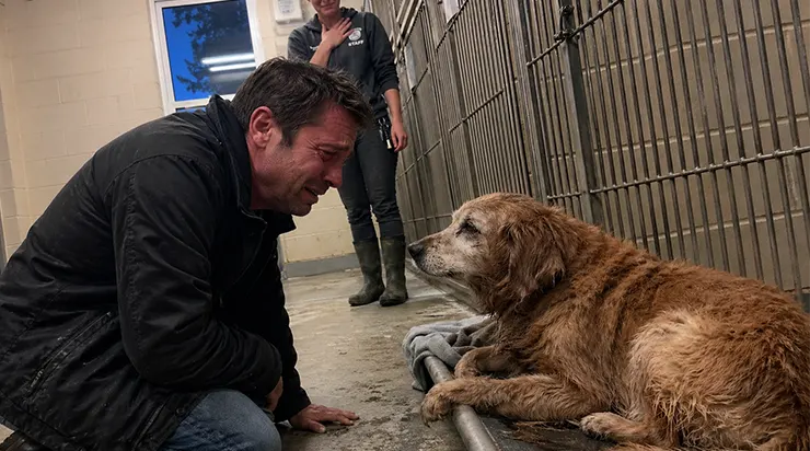Je suis allé adopter un chien au refuge, et c&rsquo;est là que j&rsquo;ai retrouvé celui de mon ex-femme