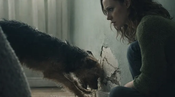 Le secret gardé pendant six ans est sorti de l&rsquo;ombre au moment où j&rsquo;ai enfin décidé d&rsquo;écouter mon chien