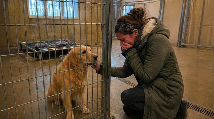 Je suis allée au refuge pour trouver un nouveau compagnon, mais dans l&rsquo;une des cages se trouvait le chien que j&rsquo;avais laissé à mon ex-mari six ans plus tôt