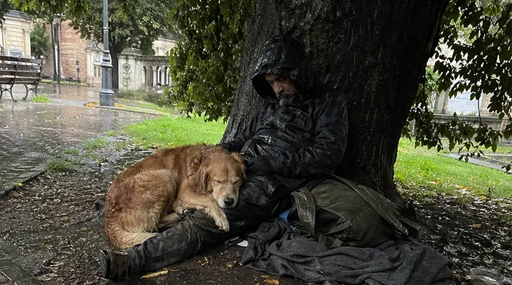 Chaque fois qu’il commençait à pleuvoir fortement, mon chien s’enfuyait de la cour… J’ai décidé de le suivre