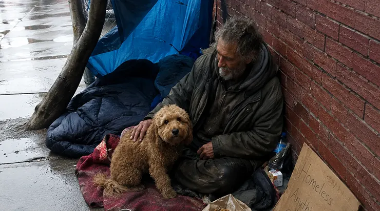 Une femme très riche s&rsquo;est approchée de moi sans dire un mot, m&rsquo;a laissé ce chien et est repartie en toute hâte