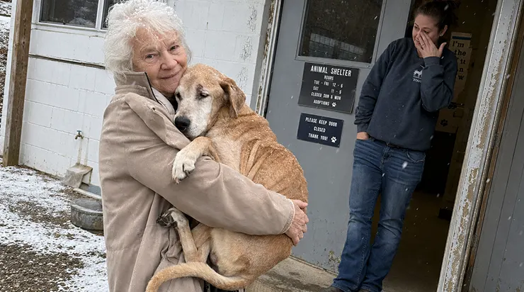 «Je suis venue pour le chien que personne ne veut adopter» : les mots d&rsquo;une femme âgée qui ont tout changé