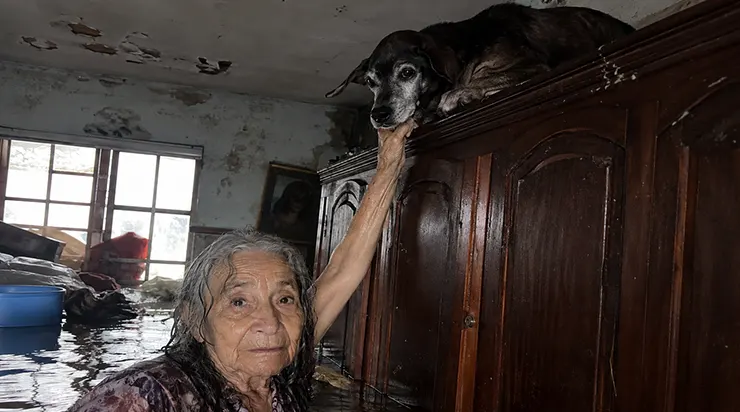 Elle aurait pu se sauver. Elle aurait pu partir des heures plus tôt. Mais cette femme de quatre-vingt-deux ans n’a pas abandonné son vieux chien