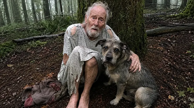 Mon père de quatre-vingt-un ans est sorti en pyjama de son centre de soins pour la mémoire et a disparu six jours dans la forêt. C&rsquo;est grâce à ce chien que nous l&rsquo;avons retrouvé