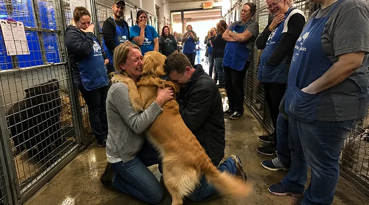 Une simple vérification matinale a révélé que le chien errant était Bailey, disparu depuis deux ans