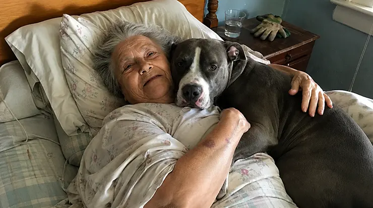 Chaque matin, ce chien errant venait, se rendait directement au chevet de ma grand-mère malade de quatre-vingt-six ans, l&rsquo;enlaçait