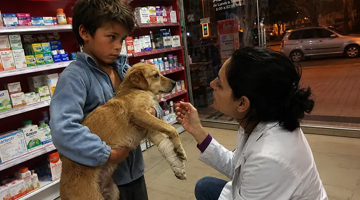 Un soir, vers huit heures et demie, un garçon de sept ans est entré dans ma pharmacie avec un chien blessé blotti dans ses bras