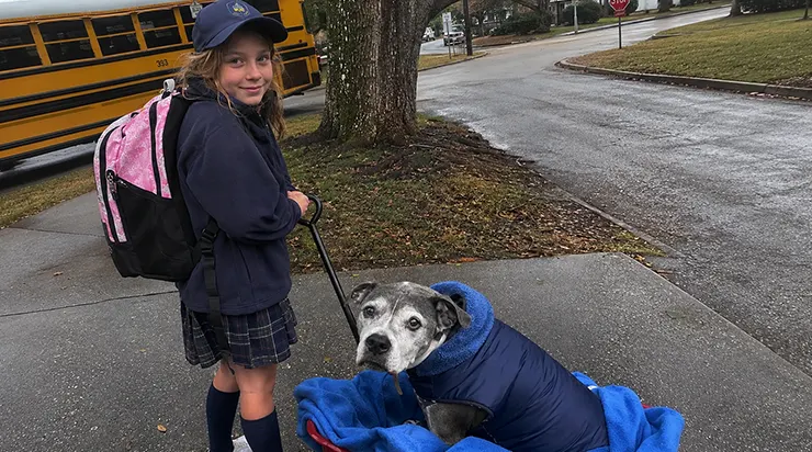Chloé et Daisy : l&rsquo;histoire d&rsquo;une chienne rescapée qui, pendant des années, accompagna une petite fille jusqu&rsquo;au bus scolaire, et le jour où leurs rôles s&rsquo;inversèrent