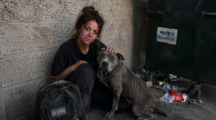 Le jour de mes vingt-six ans, mon beau-père m&rsquo;a mise à la porte. Ce pitbull errant m&rsquo;a cherché un abri pendant deux mois