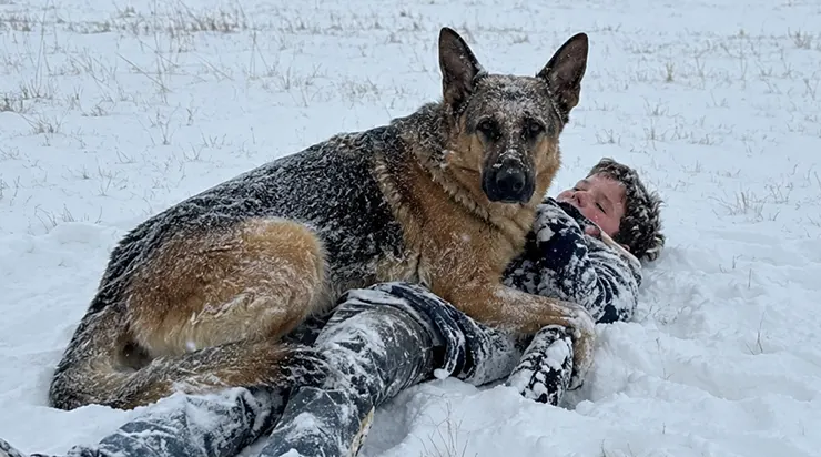 Par une nuit d&rsquo;hiver dans le Dakota du Nord, un garçon de onze ans a disparu de sa maison. Un berger allemand s&rsquo;est couché sur lui et l&rsquo;a protégé du froid avec son propre corps