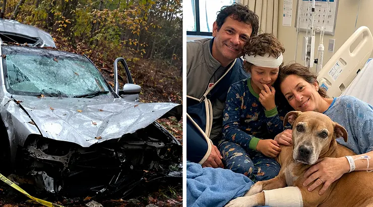 Non seulement il les a trouvés, mais il les a sortis un par un de la voiture accidentée. Le chien errant qui a sauvé les trois membres d’une famille après un crash